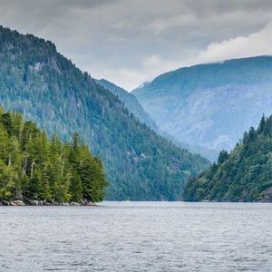 Meet your Posher, Leo